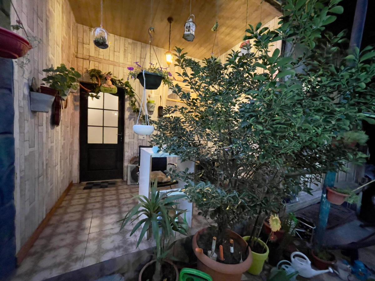 Mr Guest House Tbilisi Eksteriør bilde